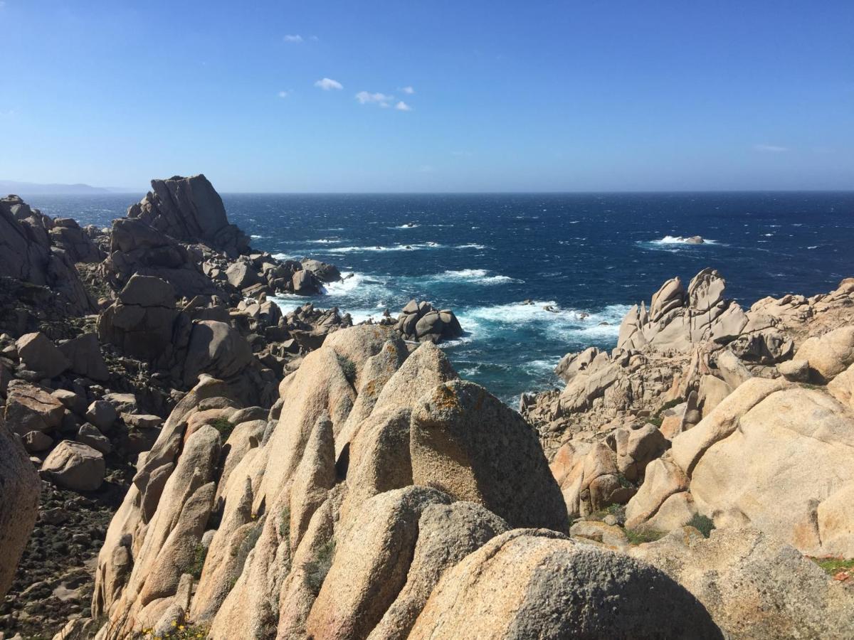 Carrabean Sea In The North Of Sardegna, With Swimming Pool Villa Viddalba Eksteriør bilde