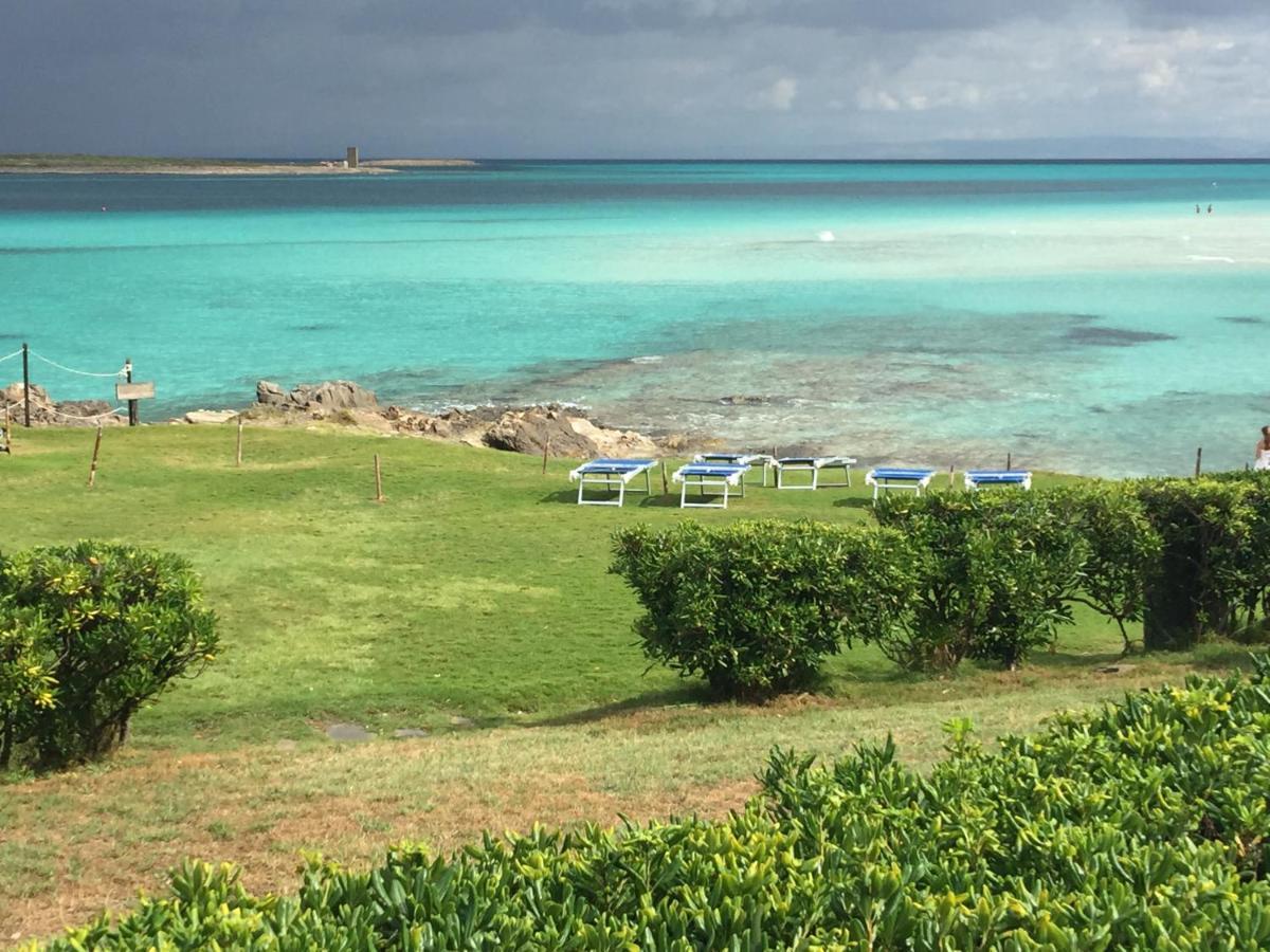 Carrabean Sea In The North Of Sardegna, With Swimming Pool Villa Viddalba Eksteriør bilde