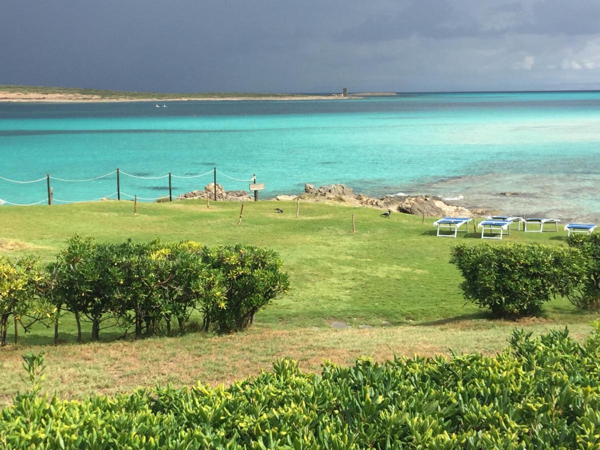 Carrabean Sea In The North Of Sardegna, With Swimming Pool Villa Viddalba Eksteriør bilde