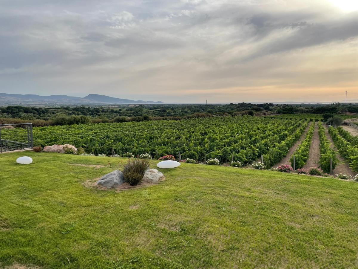 Carrabean Sea In The North Of Sardegna, With Swimming Pool Villa Viddalba Eksteriør bilde