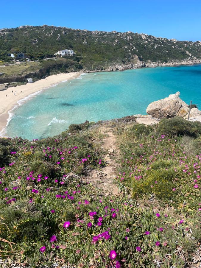 Carrabean Sea In The North Of Sardegna, With Swimming Pool Villa Viddalba Eksteriør bilde